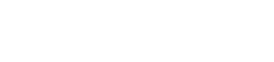 Match Point Sports Group logo – Michigan team-based MLP pickleball leagues